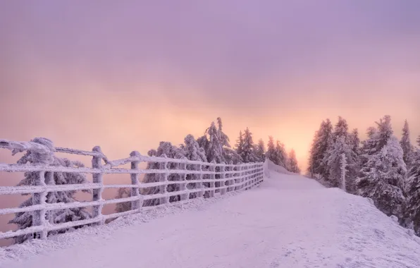 Картинка зима, дорога, снег, деревья, закат, забор, Romania, Румыния