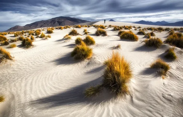 Картинка песок, небо, горы, пустыня, человек, кусты
