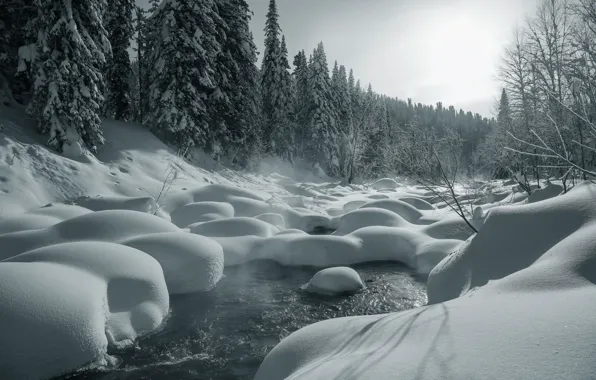 Картинка зима, лес, снег, река, ели, сугробы, Россия, Река Амзас
