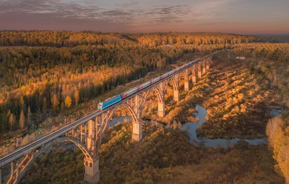 Картинка осень, поезд, железная дорога, Сергей Крылов