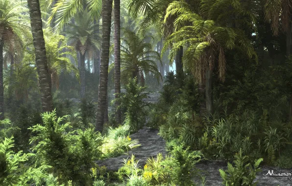Лес, природа, растительность, джунгли, tropicana