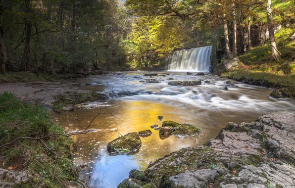Лес, река, водопад, Уэльс