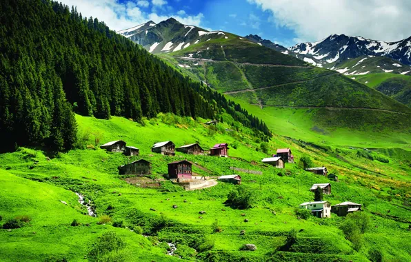 Village, turkey, Black Sea, trabzon