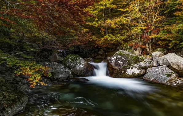 Осень, лес, скалы, берег, листва, водопад, поток, краски осени