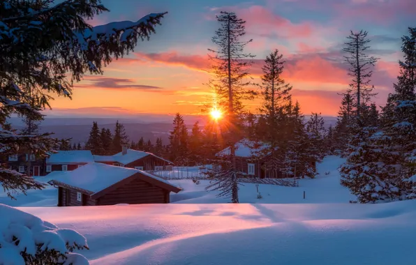 Картинка зима, солнце, снег, деревья, пейзаж, закат, природа, дома