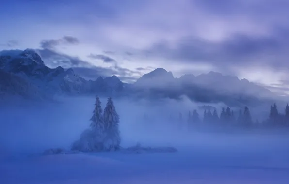 Зима, снег, горы, ели, Словения, Slovenia, Юлийские Альпы, Julian Alps