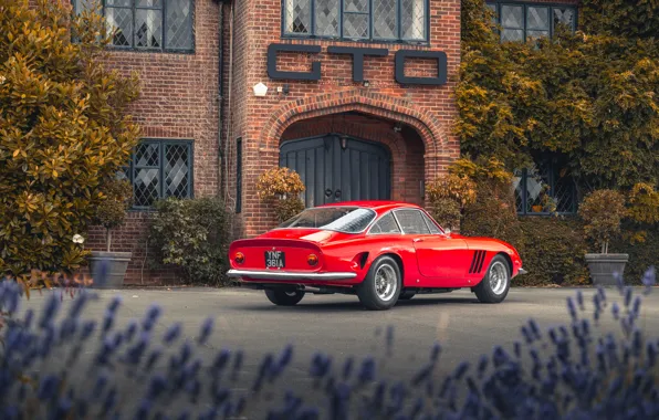 Ferrari, 1963, 250, rear view, Ferrari 250 GT Fantuzzi Berlinetta Lusso