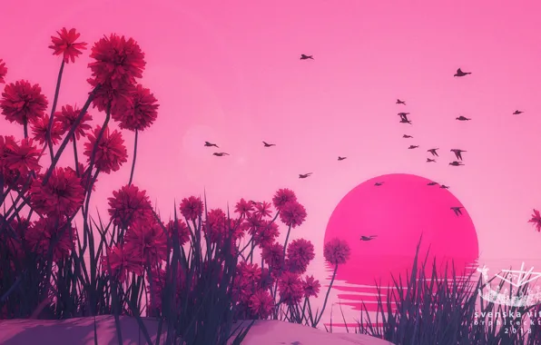 Закат, Цветы, Солнце, Птицы, Sunset, Environments, Jay Kubisch, Svenska vitlök