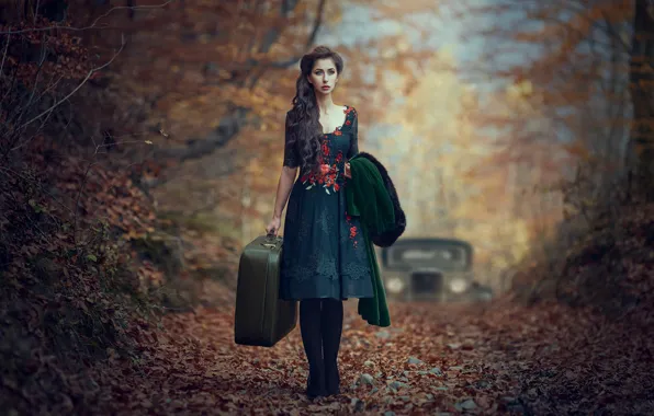 Машина, авто, осень, девушка, настроение, листва, платье, чемодан