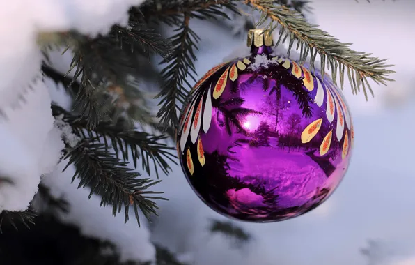 Картинка фиолетовый, снег, пейзаж, отражение, праздник, елка, шар, ель