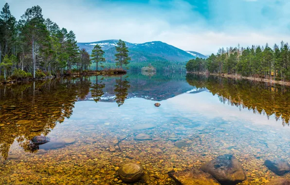Картинка лес, вода, деревья, горы, природа, озеро, камни, Россия