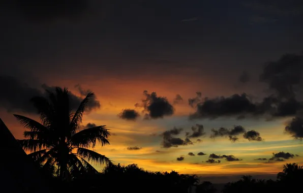 Закат, природа, пальмы, солнца, пейзаж. вечер