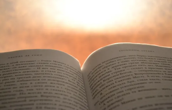 Свет, книга, абрис