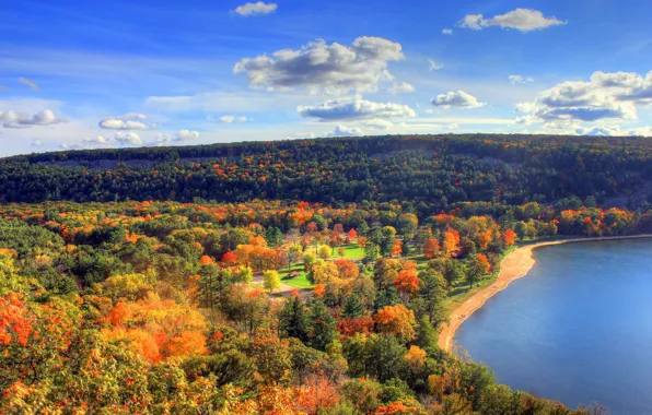 Картинка осень, лес, берег, панорама