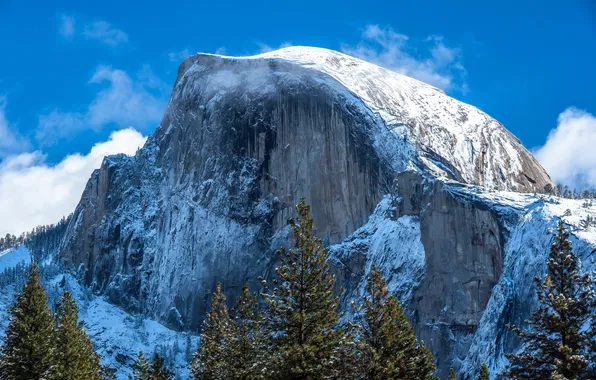 Картинка зима, небо, облака, снег, деревья, скалы, Калифорния, США