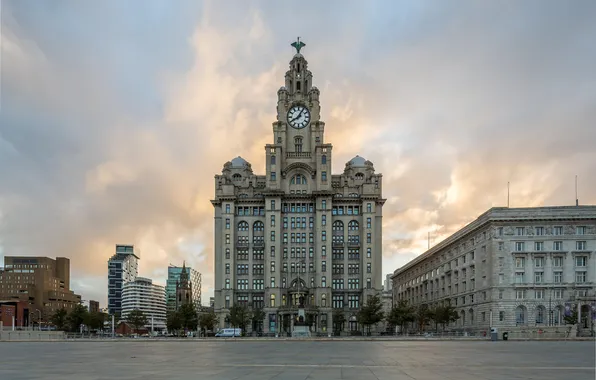 Картинка city, bird, liverpool, architecture, clock, building, royal, travel