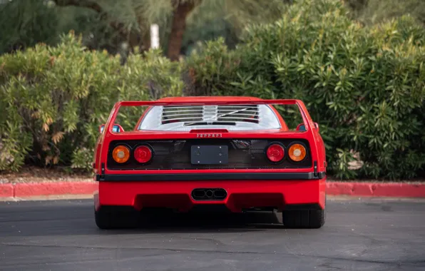 Картинка Ferrari, F40, 1990, Ferrari F40
