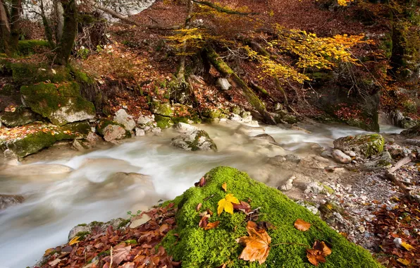 Картинка осень, листья, природа, река