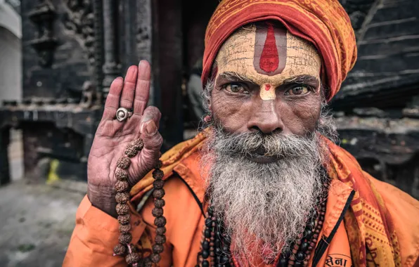 Nepal, Kathmandu, Portrait of a sadhu