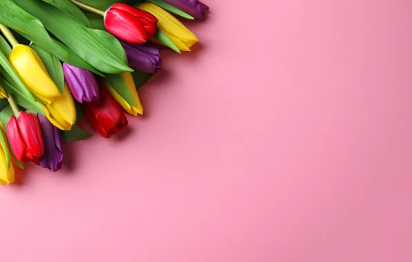 Картинка цветы, букет, colorful, тюльпаны, flowers, tulips, spring, bouquet