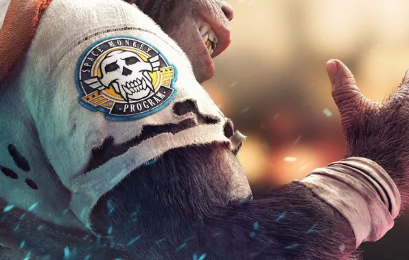 Skull, game, monkey, fang, coat of arms, Beyond Good & Evil 2
