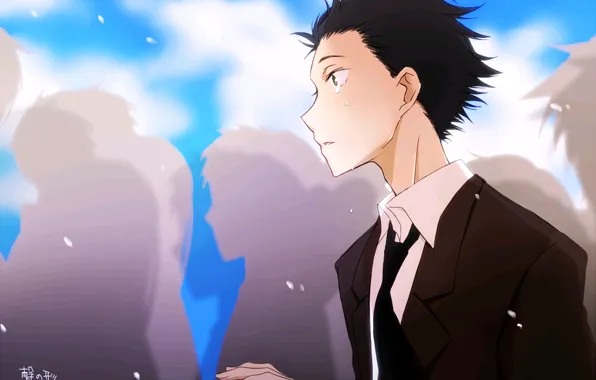 Люди, парень, слёзы, плачет, Форма голоса, Koe No Katachi