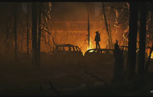 Картинка лес, пожар, Naughty Dog, The Last of Us Part II
