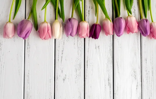 Картинка colorful, тюльпаны, flowers, tulips, bouquet