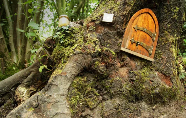 Картинка лес, Англия, сказка, дверь, Винни-Пух, домик, Восточный Сассекс, Ashdown Forest