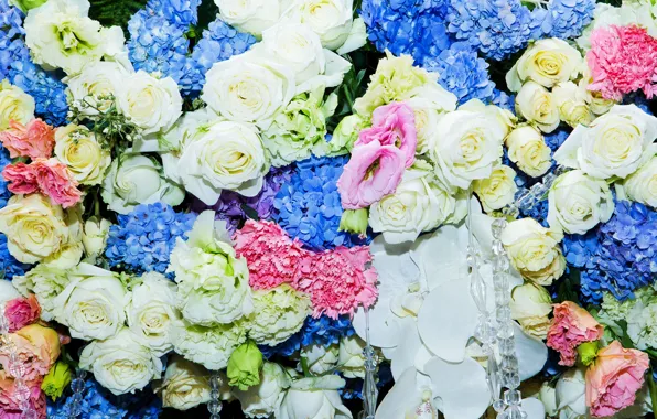 Картинка цветы, розы, colorful, white, blue, pink, flowers, roses