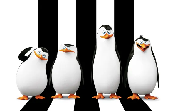 Картинка мультфильм, Рико, Skipper, Kowalski, Classified, Corporal, Penguins of Madagascar, Ковальски