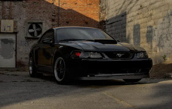 Mustang, Black, 2004