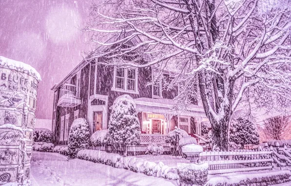 Зима, снег, деревья, дом, снегопад, Tennessee, Chattanooga, Чаттануга