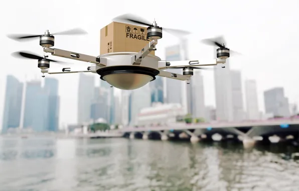 Project, drone, delivery