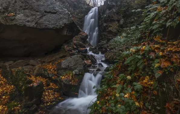 Осень, лес, камни, скалы, берег, листва, водопад, поток
