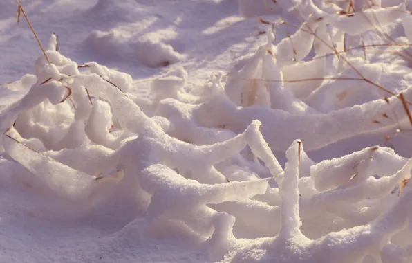 Park, winter, snow, cold