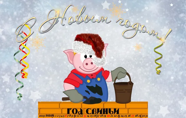 Шапка, свинья, поросенок, календарь на 2019 год
