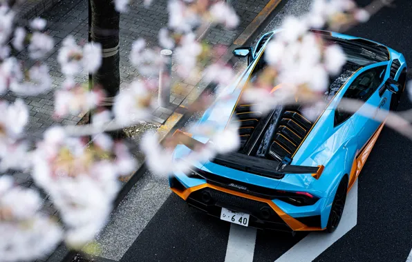 Lamborghini, Huracan, Huracán, STO, Lamborghini Huracán STO