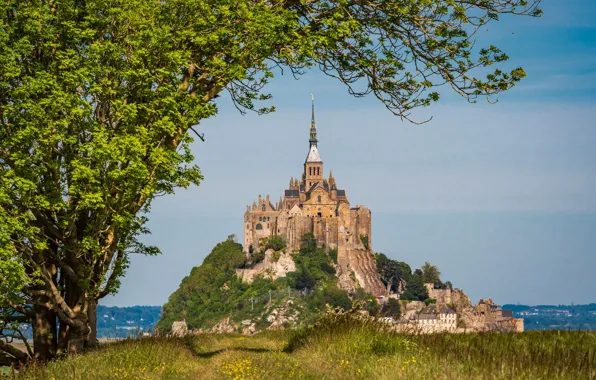 Картинка деревья, скала, Франция, крепость, France, Нормандия, Normandy, Мон-Сен-Мишель