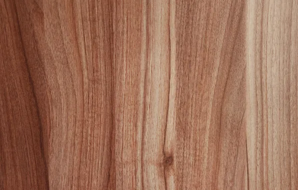 Wall, wood, pattern