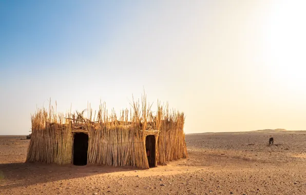 Природа, пустыня, хижина, Morocco, the Western Sahara Desert