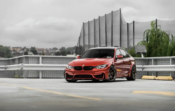 Картинка BMW, Predator, RED, Roof, F80, Sight