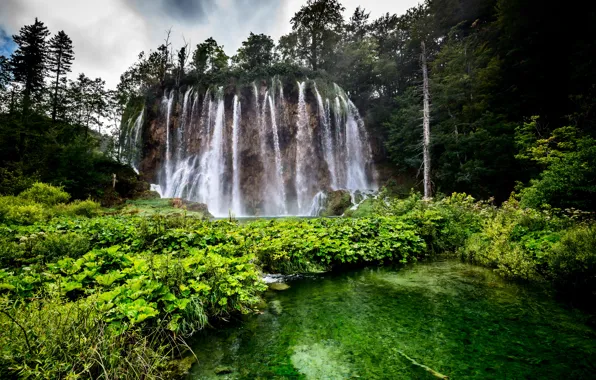 Лес, деревья, скала, озеро, водопад, Хорватия, Plitvice Lakes National Park