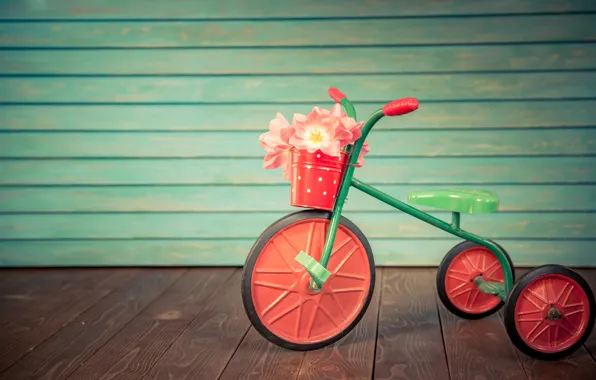 Картинка цветы, праздник, букет, тюльпаны