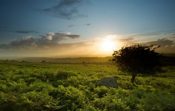 Картинка пейзаж, закат, England, Sourton