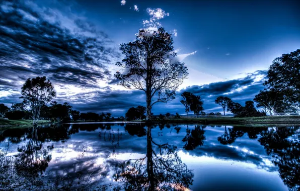 Картинка пейзаж, ночь, озеро, дерево