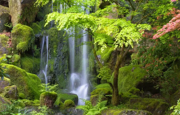 Картинка деревья, камни, водопад, Орегон, Портленд, Oregon, Portland, Japanese Gardens