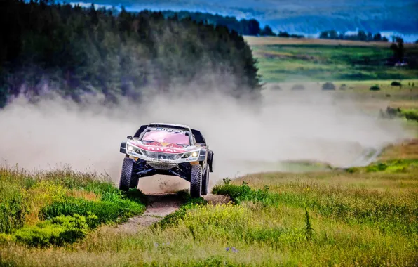 Спорт, Скорость, Гонка, Грязь, Peugeot, Фары, Red Bull, Rally