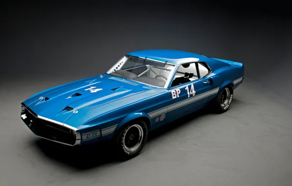 Картинка car, Shelby, blue, GT350, 1969 Shelby GT350
