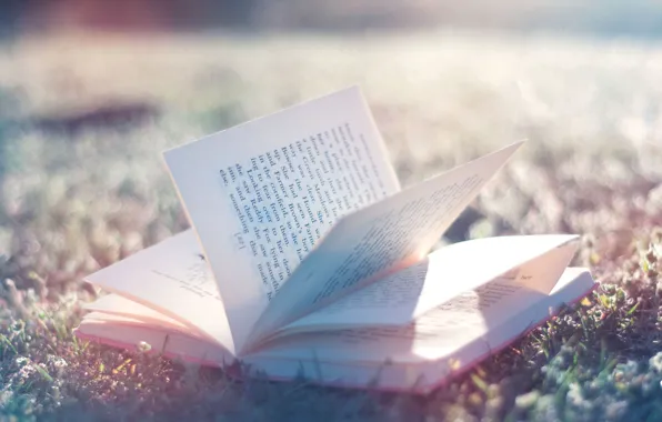 Книга, листы бумаги, раскрытая